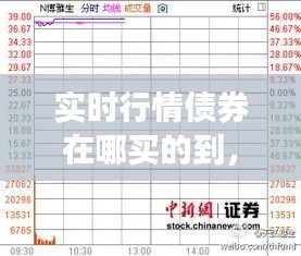 实时行情债券在哪买的到，债券行情在哪里看 