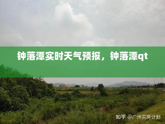 去就之分 第3页