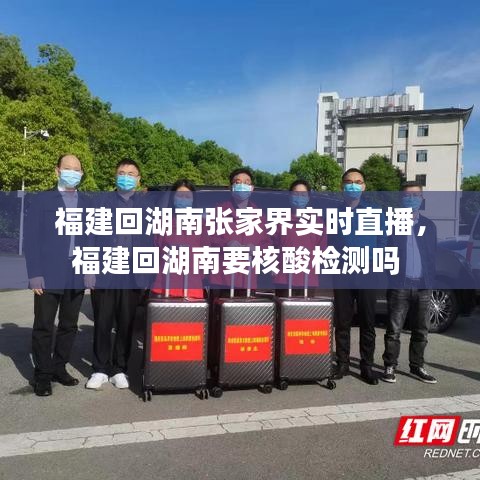 福建回湖南张家界实时直播，福建回湖南要核酸检测吗 