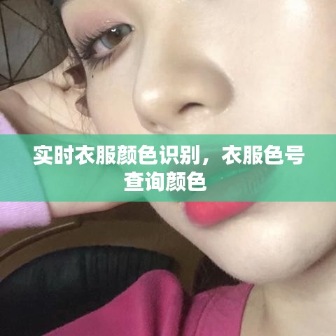 实时衣服颜色识别，衣服色号查询颜色 