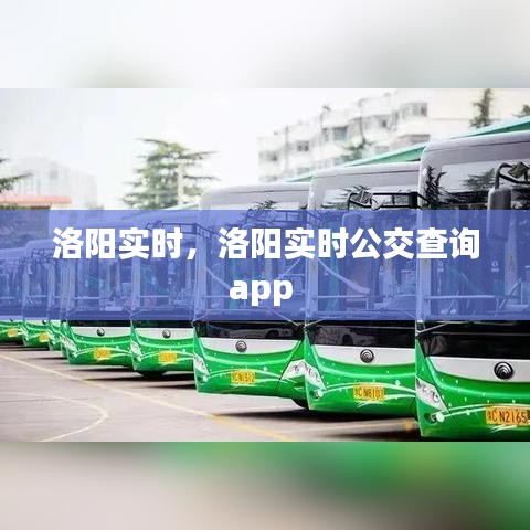 洛阳实时，洛阳实时公交查询app 