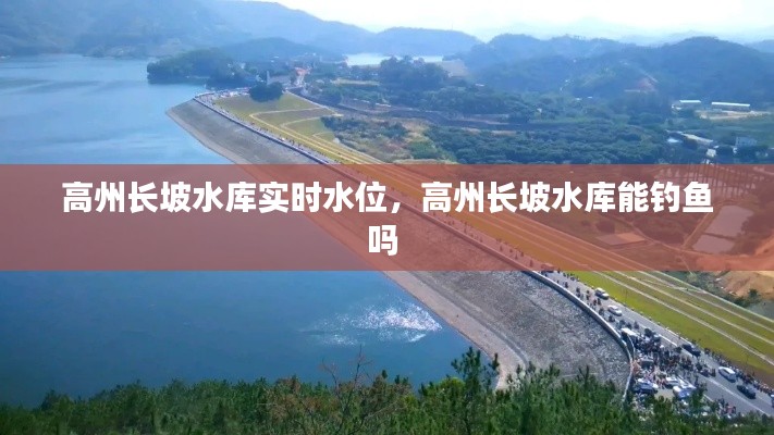 高州长坡水库实时水位，高州长坡水库能钓鱼吗 