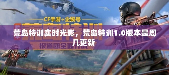 荒岛特训实时光影，荒岛特训1.0版本是周几更新 