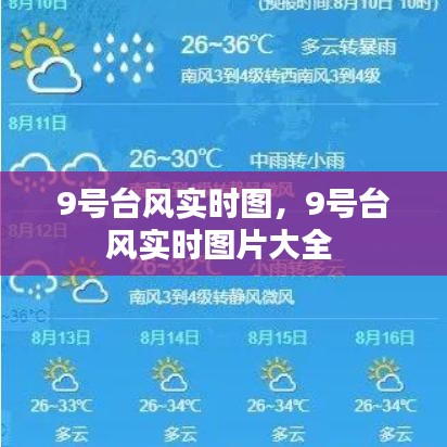 反正还淳 第4页