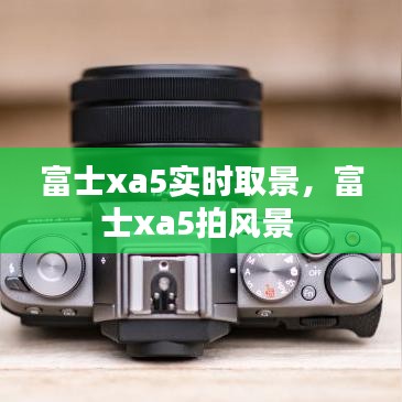 尊道贵德 第4页