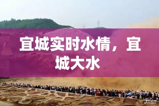 宜城实时水情，宜城大水 