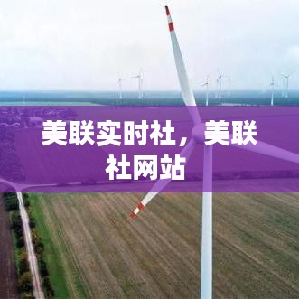 美联实时社，美联社网站 
