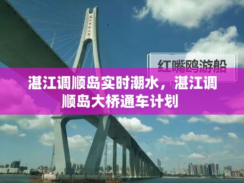 湛江调顺岛实时潮水，湛江调顺岛大桥通车计划 