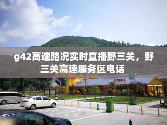 g42高速路况实时直播野三关，野三关高速服务区电话 