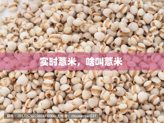 实时薏米，啥叫薏米 