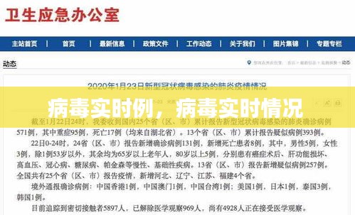 病毒实时例，病毒实时情况 