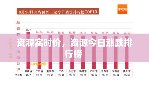 资源实时价，资源今日涨跌排行榜 