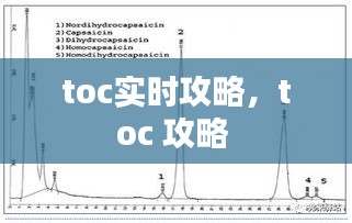 toc实时攻略，toc 攻略 