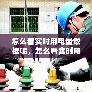 怎么看实时用电量数据呢，怎么看实时用电度数 