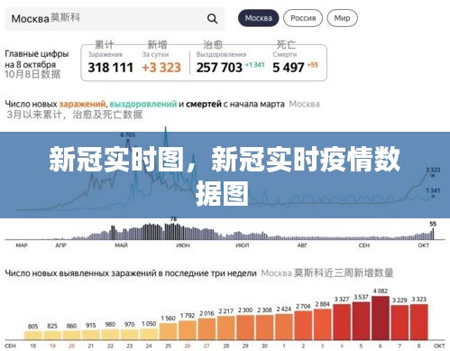 新冠实时图，新冠实时疫情数据图 