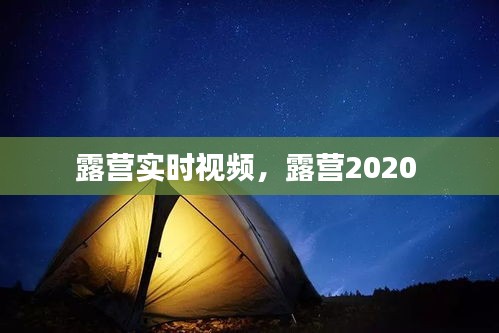 露营实时视频，露营2020 