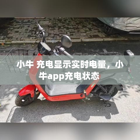 小牛 充电显示实时电量，小牛app充电状态 