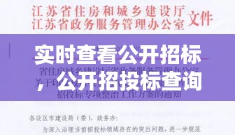 实时查看公开招标，公开招投标查询 