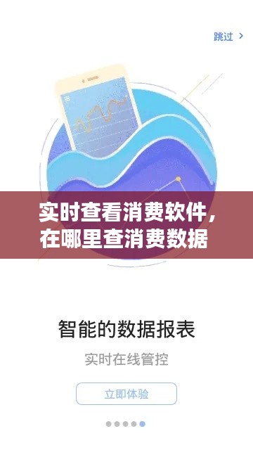 实时查看消费软件，在哪里查消费数据 