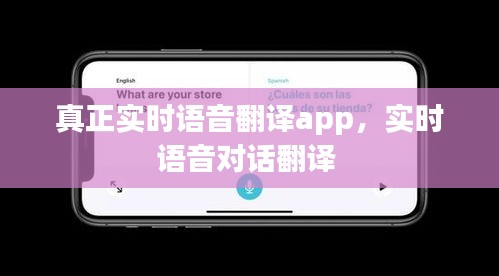 真正实时语音翻译app，实时语音对话翻译 