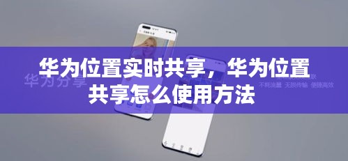 华为位置实时共享，华为位置共享怎么使用方法 