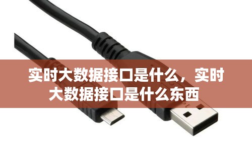 实时大数据接口是什么，实时大数据接口是什么东西 