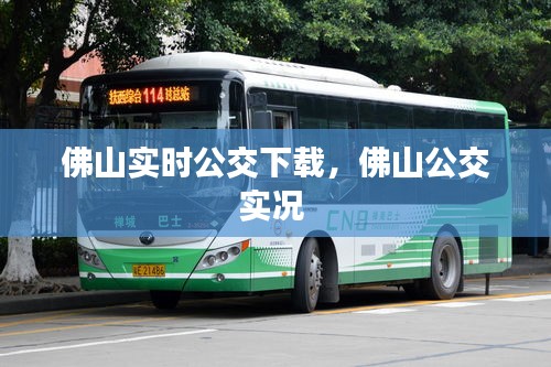 佛山实时公交下载，佛山公交实况 