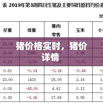 猪价格实时，猪价详情 