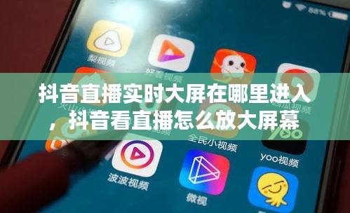 抖音直播实时大屏在哪里进入，抖音看直播怎么放大屏幕 