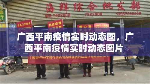 广西平南疫情实时动态图，广西平南疫情实时动态图片 