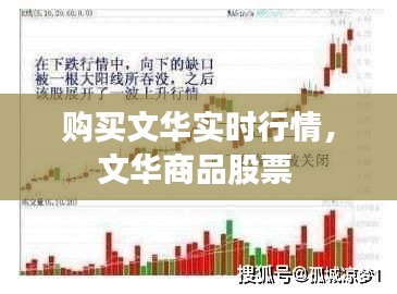 购买文华实时行情，文华商品股票 