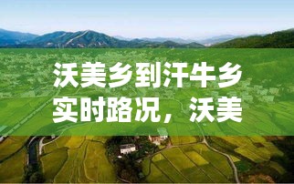 沃美乡到汗牛乡实时路况，沃美乡到汗牛乡实时路况 