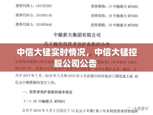 中信大锰实时情况，中信大锰控股公司公告 