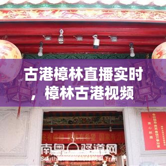 古港樟林直播实时，樟林古港视频 
