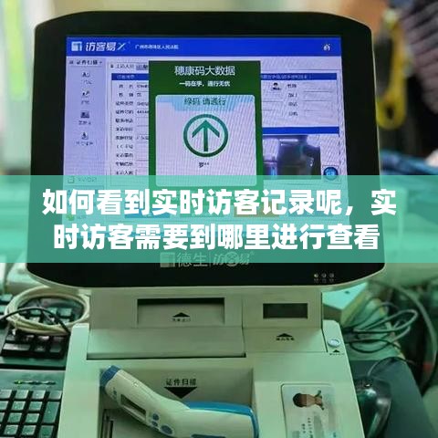 如何看到实时访客记录呢，实时访客需要到哪里进行查看 