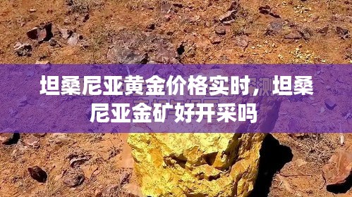 坦桑尼亚黄金价格实时，坦桑尼亚金矿好开采吗 