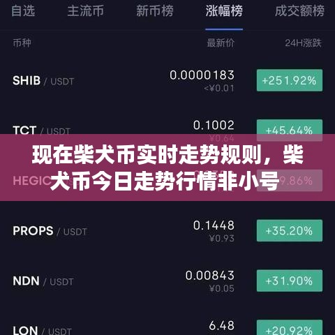现在柴犬币实时走势规则，柴犬币今日走势行情非小号 