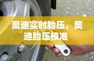 奥迪实时胎压，奥迪胎压校准 