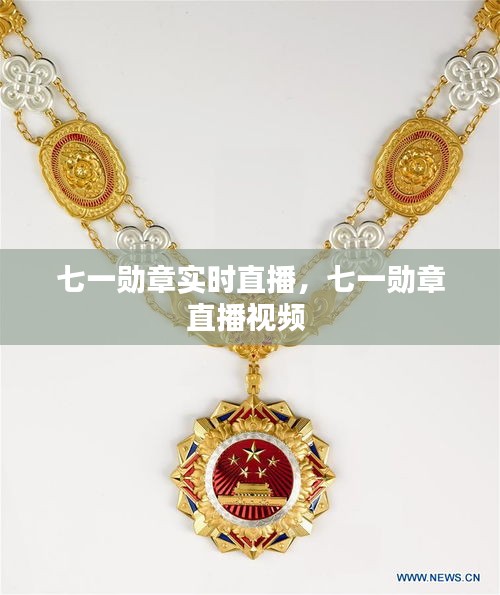 七一勋章实时直播，七一勋章直播视频 