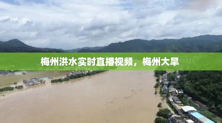 梅州洪水实时直播视频，梅州大旱 