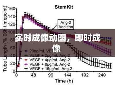 实时成像动图，即时成像 