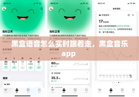 黑盒语音怎么实时跟着走，黑盒音乐app 