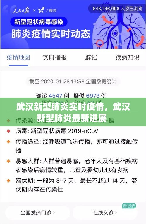 武汉新型肺炎实时疫情，武汉新型肺炎最新进展 