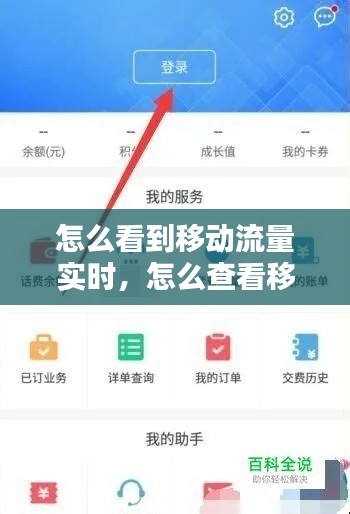 怎么看到移动流量实时，怎么查看移动流量用在什么地方 