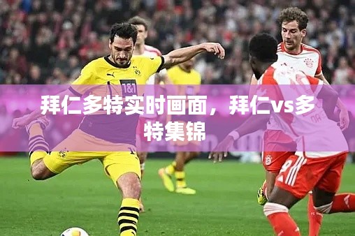 按部就班 第3页