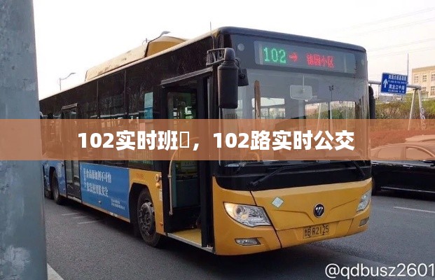 102实时班車，102路实时公交 