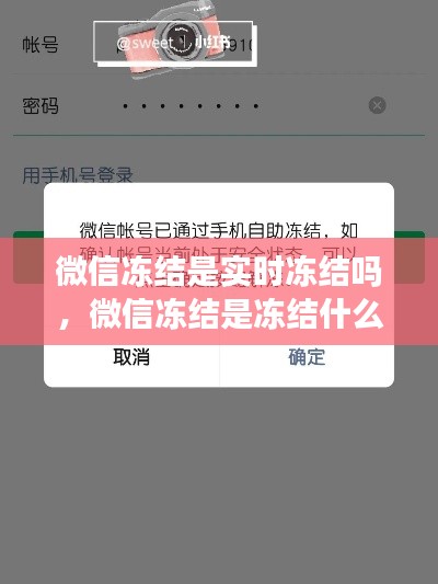 微信冻结是实时冻结吗，微信冻结是冻结什么 