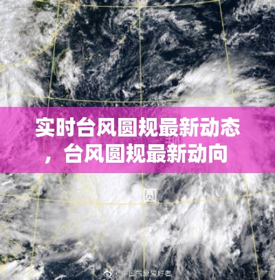 实时台风圆规最新动态，台风圆规最新动向 