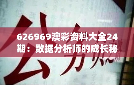 626969澳彩资料大全24期：数据分析师的成长秘籍