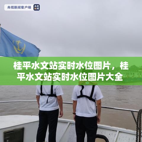 桂平水文站实时水位图片，桂平水文站实时水位图片大全 